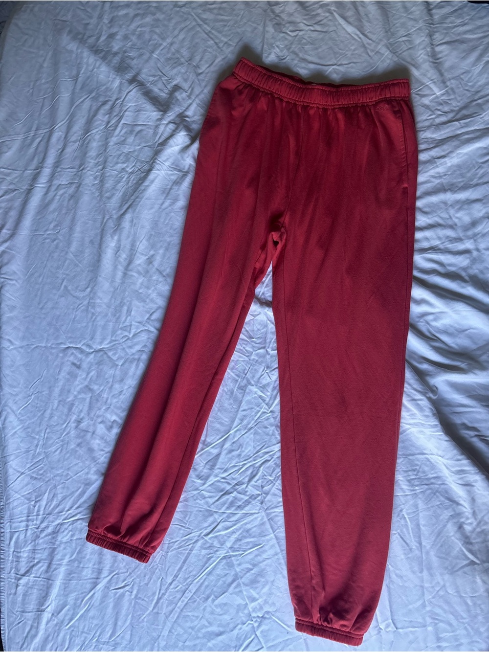 DSG Kids Maroon Jogger Sweatpants